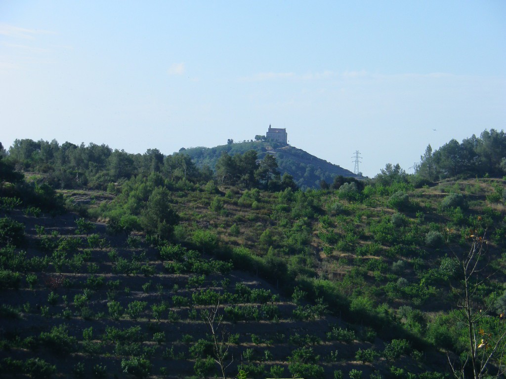 L'ermita de Sant Ramon emergeix per sobre els cirerers.