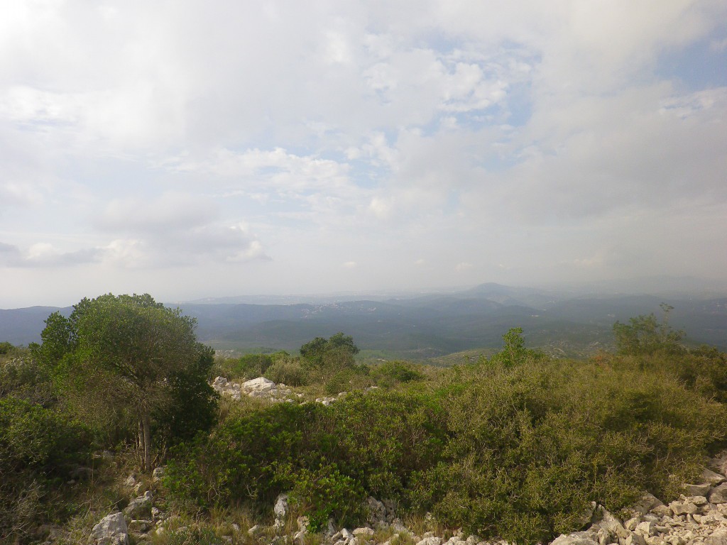 Vistes des del Puig de la Mola.