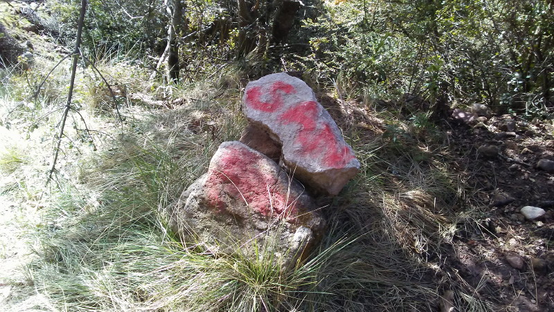 Pedra que marca el camí cap a Sant Martí.