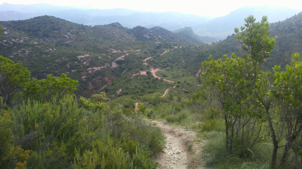 El Pla del Fideuer des del cim del Puig Cendrós.