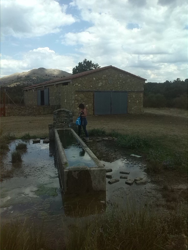 L'Ana Cristina agafant aigua fresca de la calella.