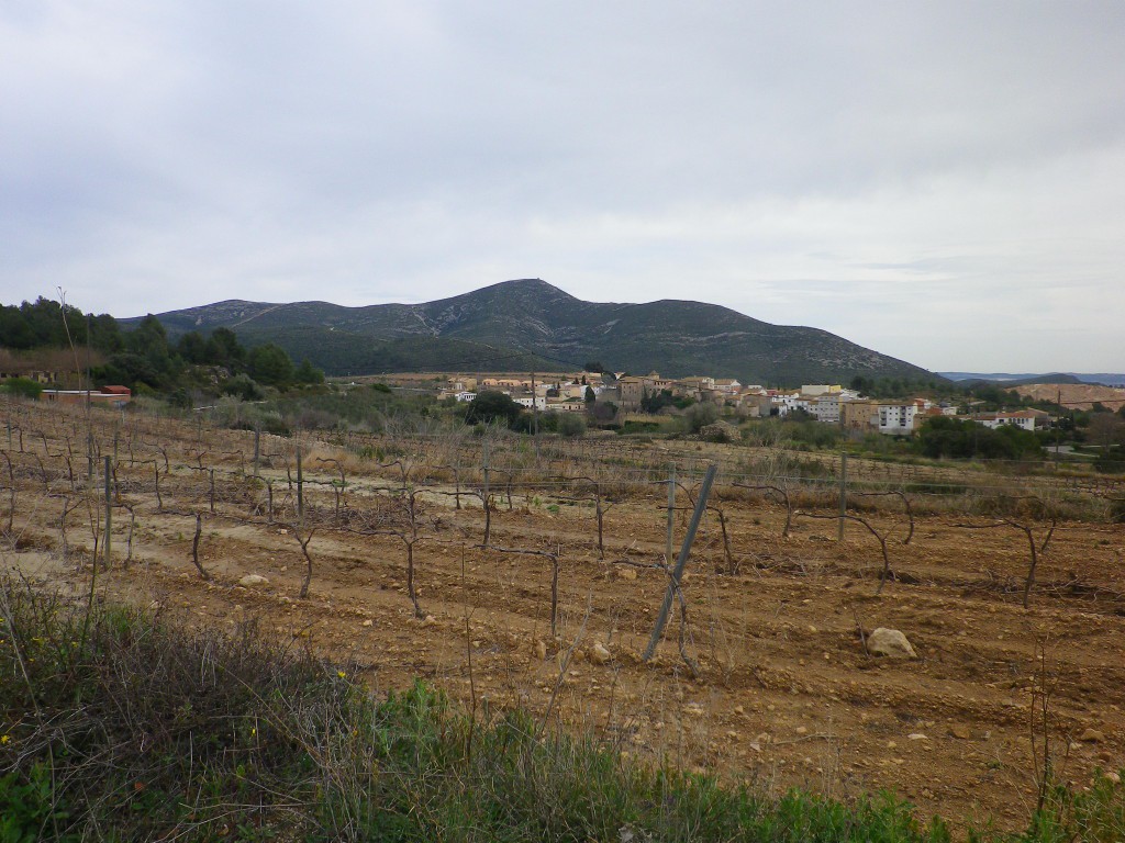 Vinyes, Joncosa i el Puig de la Cova.