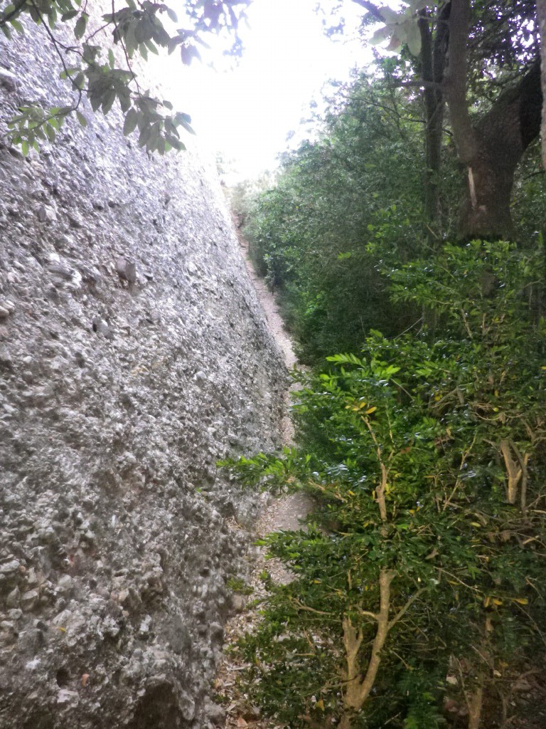 Aquesta ratlla del mig és el camí. A l'esquerra la pedra, a la dreta el bosc.