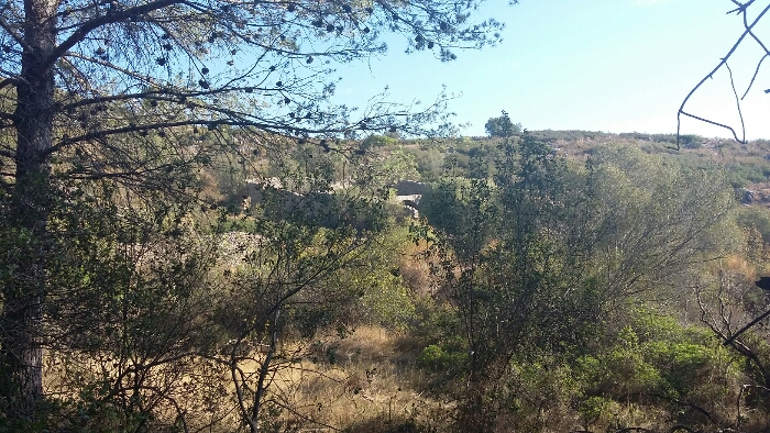 A la banda esquerra del camí, unes ruïnes del Mas Reguinell.