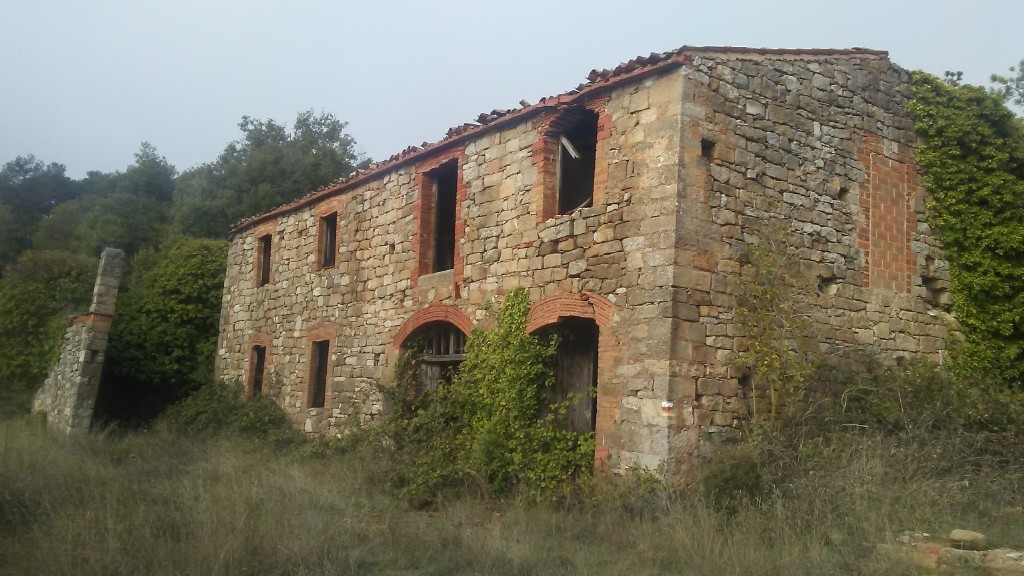 Les ruïnes de la Casa Nova de Boixadors.