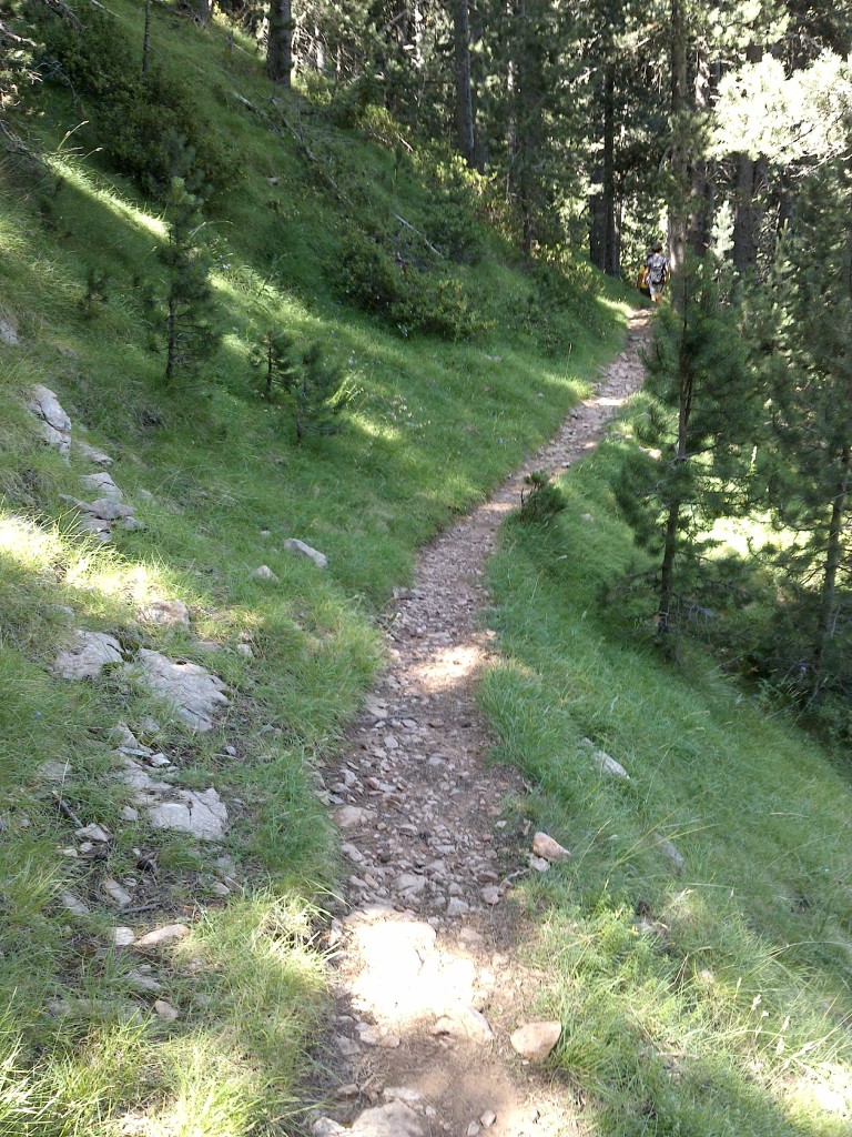 Després de tanta pedra s'agraeix un sender, tot i que sigui estret!
